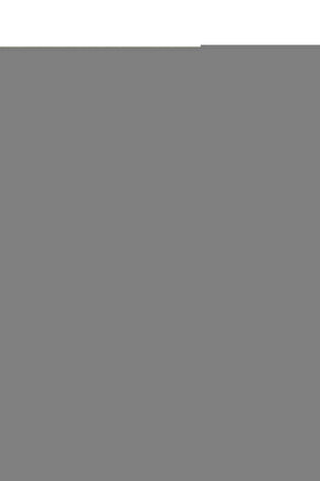 Temizlik Fırçası  BR2