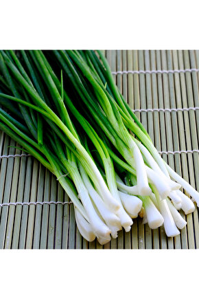1000 Adet Tohum - Yerli Doğal Taze Yeşil Soğan  Tohumu - Kolay Çimlenen, Sebze Yetiştiriciliği İçin