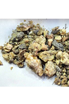 500 Gr Çam Sakızı