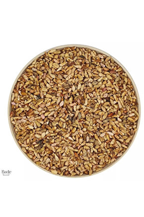 100 Gr Nar Çekirdeği Kurusu Yağlık Tane ( İlaçsız - Doğal )