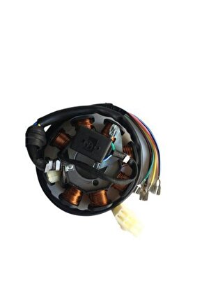 CG Statör 7+1 Bobin 5 Fişli FLC