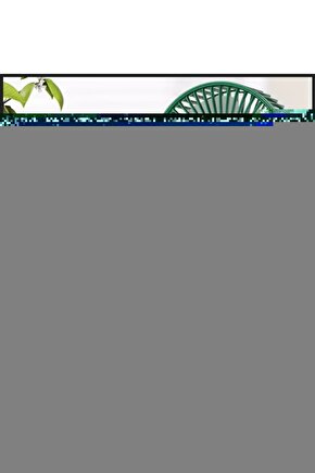 Havlit  Doğal Taş - Tamburlanmış Parça Taş