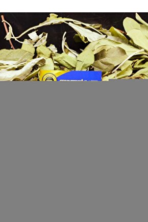 Wireless Gramafon Bluetooth Hoparlör Classic Retro B5