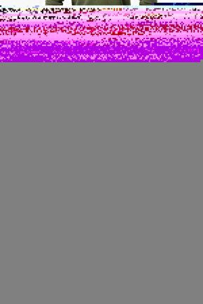 Dumanlı Kuvars Ham Şeklinde Kaplama Kolye Ucu(sertifikalı)(47cm Zincir Dahil)