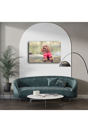 5 Adet Sitrin Tamburlanmış Doğaltaş ( Para Taşı)