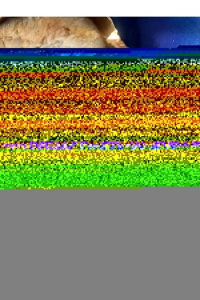 Kırmızı Yapraklı Ağaç Tüneli Cam Tablo