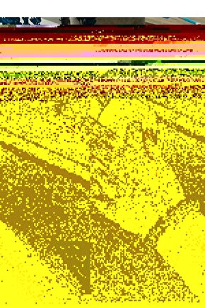 DOĞAL TAŞLI ASLAN BURCU BİLEKLİK