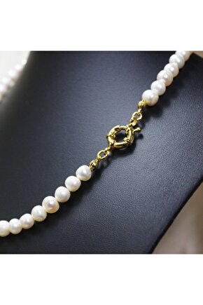 Petek Petek Şifam Var