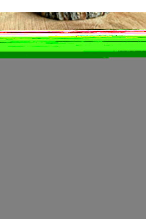 Tarihi Taberi Tercümesi - Islam Tarihi (4 Cilt, Takım)-1957