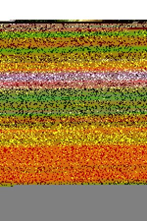 Gıybet (ölü Et Yemenin Adı)