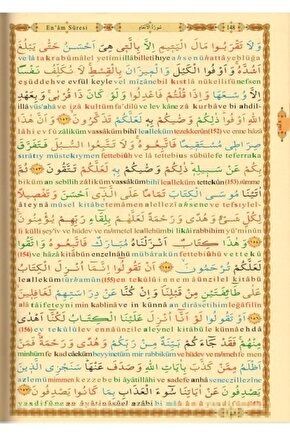 AuraStone Doğaltaş Roller Gua Sha Set