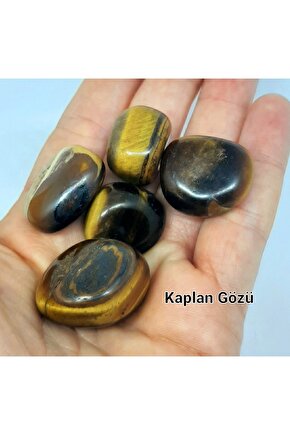 Orjinal Kaplangözü Tamburlanmış Tımbıl Kayaç Kaplan Gözü