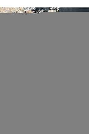 Hiremco X2 Android Tv Box Kumanda