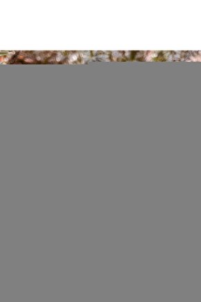 Sony Rmf-ed003 Uyumlu Smart Led Tv Kumandası