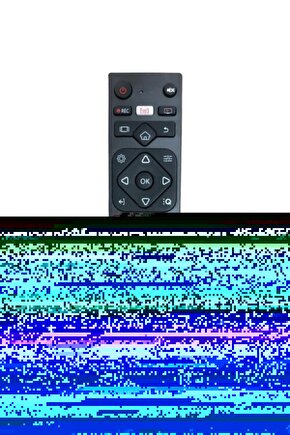 AXEN AX65LEDA71-TNR 4K LED Tv Kumandası