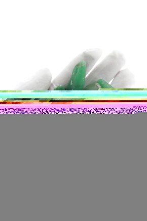 6 Lı Kadın Beyaz Pamuklu Yüksek Bel Külot 652