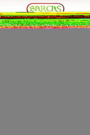 Likralı Desenli Erkek Boxer (4 LÜ KARIŞIK RENK)