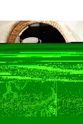 AuraStone Doğaltaş Roller Gua Sha Set