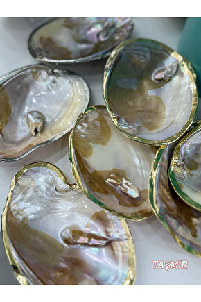 İstiridye Tabağı Kenarları Gold Kaplamalı Kabuk A Kalite
