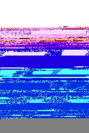 Aslan Burcu Tesbih Gümüş Kaplama Püskül