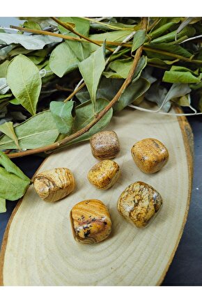 Ac-304 Ortapedik Masaj Terliği