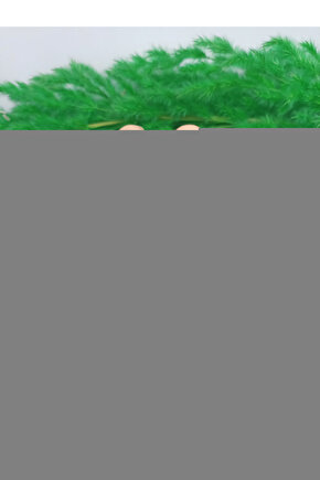 R3701 Otoskop RISCOPE L3 2.5V F.O