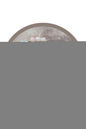 1 Yuvarlak Profil Demir Koltuk Değneği Alüminyum Uzunluk Ayarlı