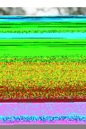 DOĞAL TAŞ BALIK BURCU BİLEKLİK