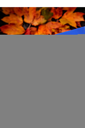 Kırmızı Jasper Kadın Bilekliği