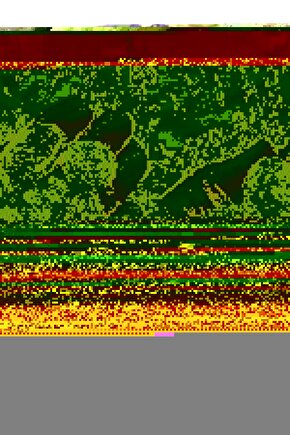 Sertifikalı Doğal Taş Ametist Tımbıl