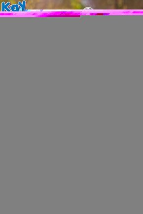 Hp Compaq 441675-001, 484784-001 Notebook Bataryası - 6 Cell