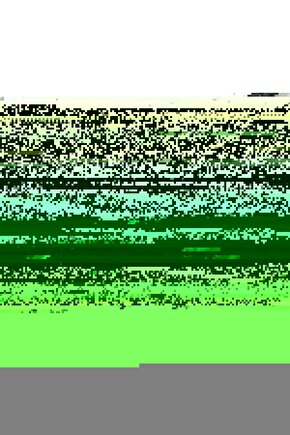 5 Adet 20lik Karpuz Lamba Bahçe Aplikleri 20 Cm PVC Küre