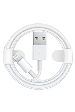 Powermaster Pm-18297 IosIphone Serisi Lightning Usb Şarj Ve Data Kablosu 1 Metre