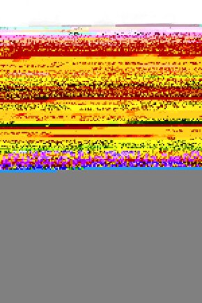 Pavilion 15-cs3004nt 8XG21EA Notebook uyumlu 32GB RAM Bellek  Afila