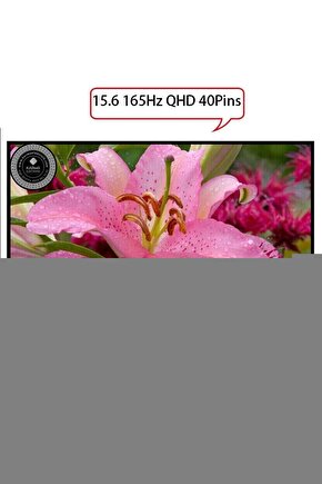 Bulut Falçata 3’lü Set – Renkli ve Pratik Kesici Seti