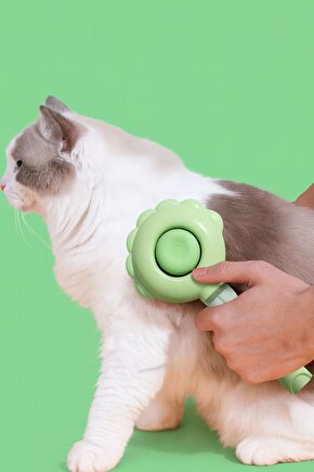 Basmali Su Sprey Hazneli Telli Evcil Hayvan Tüy Bakım Fırçası