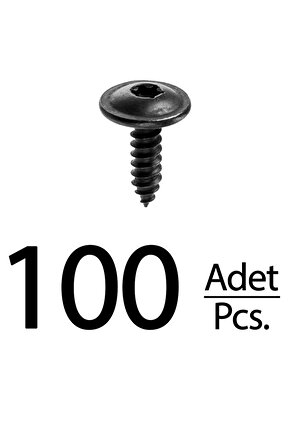 Volkswagen Golf Passat Beetle Cabrio Torx (Tork) için Davlumbaz Vida - 100 Adet