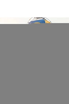 Seat Leon Için Sunroof Perde Parçası