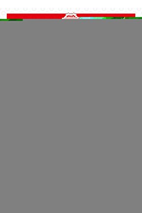 8li Pmr 446 Türkçe Konuşan El Telsizi Wln