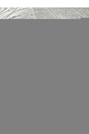 Pro Dijital Pmr Uhf El Telsizi