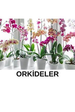 4246  Uyumlu LED 120RGB Beyaz