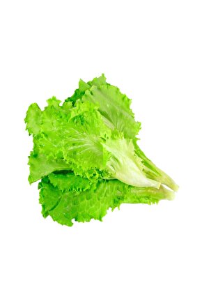 Yedikule Marul Tohumu