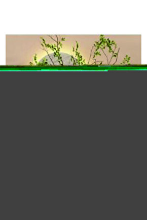 Sony Kdl-40we665 Uyumlu Smart Led Tv Kumandası