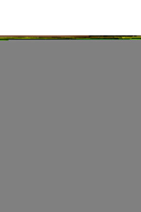 Hasta Çevirme Aparatı Sert Sünger