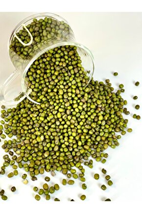 250 Adet Maş Fasulyesi Tohumu