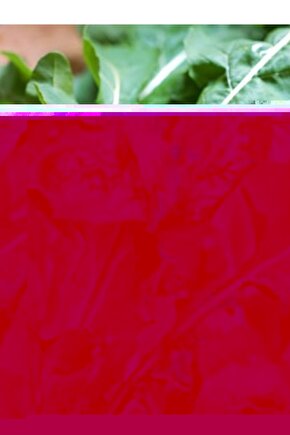 Yatak Sleep Enerji Therapy Atletic Pocket Yaylı Konforex Yatak