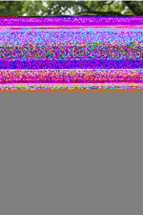 Üçgen Çocuk 4. Sınıf On Ada Krallığı Serisi 10 Lu Hikaye Seti