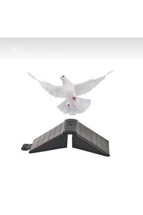 Güvercin Tünek 25 Adet