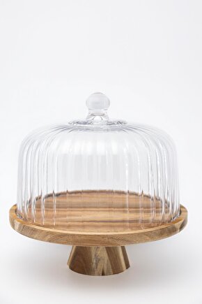 Homes Akasya Standlı Cam Kek Fanusu