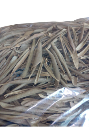 Zeytin yaprağı kurusu organik. Olea europaea L. folium. 100gr